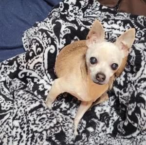 Meet your Posher, Gina